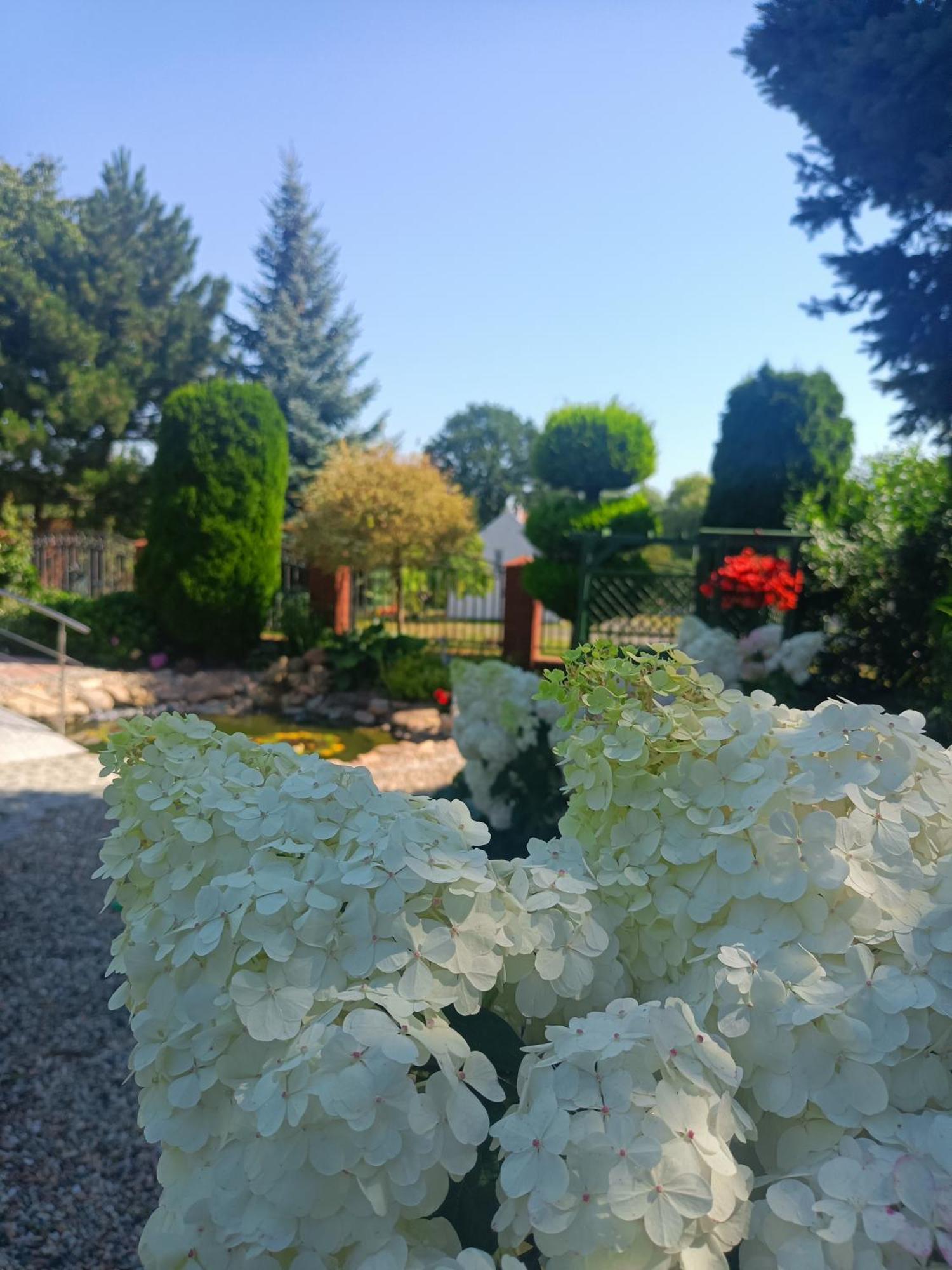 Hortus Apartament Z Klimatyzacja Boleslawiec  Zewnętrze zdjęcie