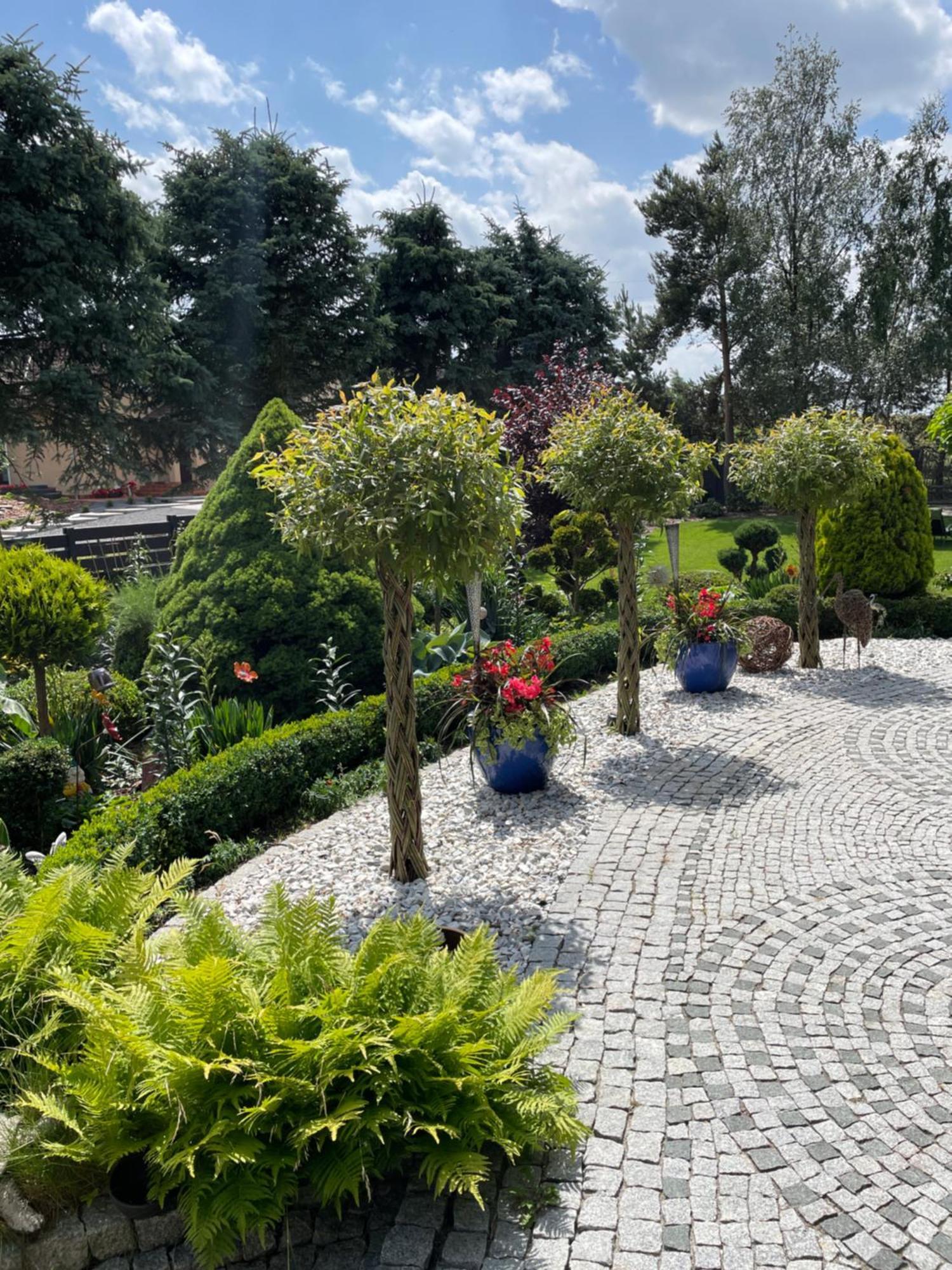 Hortus Apartament Z Klimatyzacja Boleslawiec  Zewnętrze zdjęcie